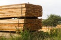 Wood boards stacked for drying process in the sawmill Royalty Free Stock Photo