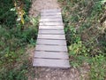 Wood boardwalk on path or trail over hole