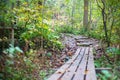 wood boadwalk in the Medway Heritage Forest Royalty Free Stock Photo