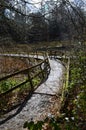 Wood boardwalk.