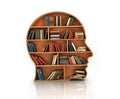 Wood Bookshelf in the Shape of Human Head and books with reflect Royalty Free Stock Photo