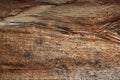 Wood borers holes on wooden plank Royalty Free Stock Photo