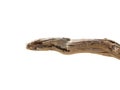 Wood branch old dryied by the sea Royalty Free Stock Photo