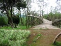 Wood Bridge at Bukit Jamur Rancabolang Ciwidey West Java Indonesia Royalty Free Stock Photo