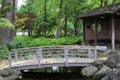 A wood bridge crossing a stream leading to a small pavilion in a Japanese Garden filled with ferns and trees