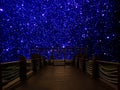 wood bridge dark blue galaxy