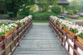 Wood bridge and flower