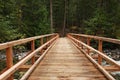 Wood bridge in the forest