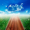 Wood bridge in Grass fields Royalty Free Stock Photo