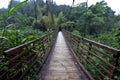 Wood Bridge Royalty Free Stock Photo