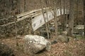 Wood Bridge in Late Autumn Forest Royalty Free Stock Photo