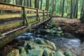 Wood bridge in Lynn Valley forest Royalty Free Stock Photo