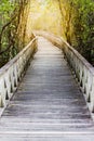 Wood bridge through the mangrove forest with sun light at the en Royalty Free Stock Photo