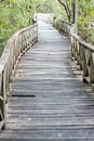 Wood bridge through the mangrove forest with sun light at the en Royalty Free Stock Photo