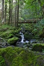 Wood Bridge over wild river in the Ravennaschlucht Royalty Free Stock Photo