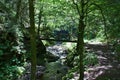 Wood Bridge over wild river in the Ravennaschlucht Royalty Free Stock Photo
