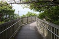 The path way to walk into a tropical forest Royalty Free Stock Photo