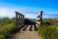 Wood bridge pathway