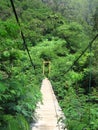 Wood bridge at Taman Hutan Juanda Dago Bandung Royalty Free Stock Photo