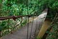 Wood bridge to jungle Royalty Free Stock Photo