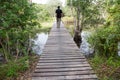 Wood bridge walkway along river Royalty Free Stock Photo