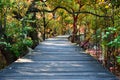 Wood bridge walkway in the mangrove forest Royalty Free Stock Photo