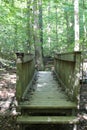 A wood bridge in William Umstead State Park`s forest in North Carolina