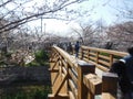 The wood bridge at Yamazaki River, Nagoya, Aichi Prefecture, Japan