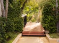 Wood brige in green park with ray of light Royalty Free Stock Photo