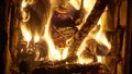 wood burn in a Russian furnace. Background. natural light