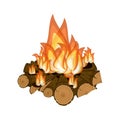 Wood burning, bright campfire isolated on white background.