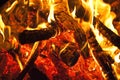 Wood burning on fire Royalty Free Stock Photo