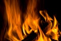 Wood burning in a fire on black background Royalty Free Stock Photo