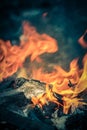 Wood burning fire Royalty Free Stock Photo