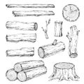 Wood, burning materials. Vector sketch illustration collection. Materials for wood industry. Stump, branch, timber. Tree