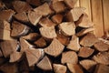 Wood burning stove. Firewood for furnace heating. Warehouse for