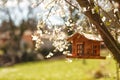 Wood cabin birdhouse for birds in tree in spring