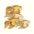 Wood carving fish isolated Royalty Free Stock Photo