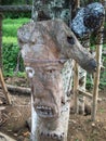 Wood Carving in the Shape of a Face from Solok Royalty Free Stock Photo