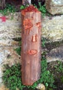 Wood Carving in the Shape of a Face Royalty Free Stock Photo