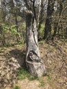 Wood carving showing two birds, De Meinweg, Limburg