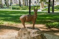 Wood carving of small deer in park