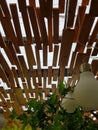 Wood ceiling Royalty Free Stock Photo