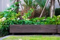 Wood chair in the garden, view of garden patio. Royalty Free Stock Photo