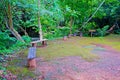 A wood chair of relaxing corner in the forest