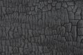 Wood charcoal texture. Burnt tree. Black coal background