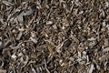 Wood chip background Royalty Free Stock Photo