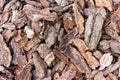 Wood chip bark chippings, texture background close up Royalty Free Stock Photo