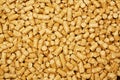 Wood chip bio fuel a renewable alternative source of energy