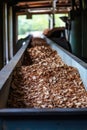 Wood chip conveyor belt Royalty Free Stock Photo